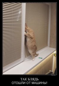 Демотивируй