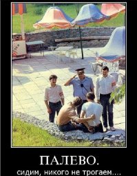 20 убойных ситуаций, в которых люди и животные спалились по полной программе