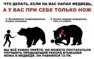 Как спастись от медведя туристу в тайге