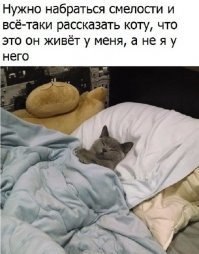 Осторожно: пост повышенной хвостатости!