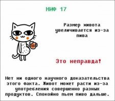 Полностью согласен - пью пиво много и относительно часто: живота и в помине нет.