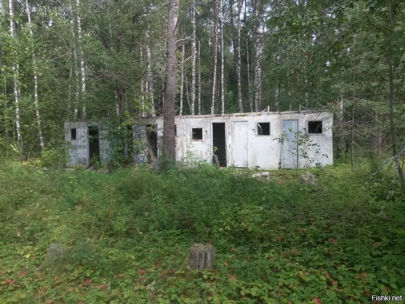 заброшенный пионерлагерь