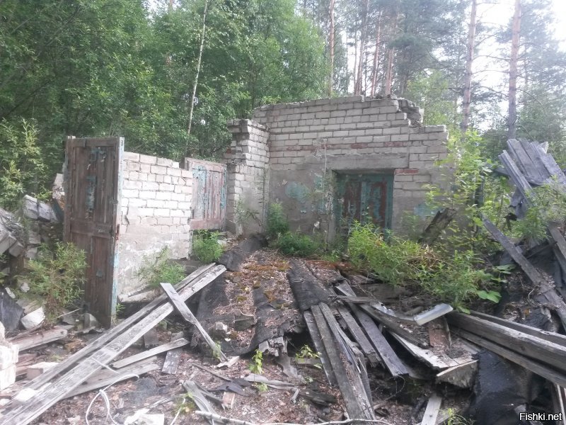 заброшенный пионерлагерь