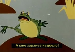Шотландец решил объехать мир на велосипеде и неожиданно нашел четвероногую компаньонку