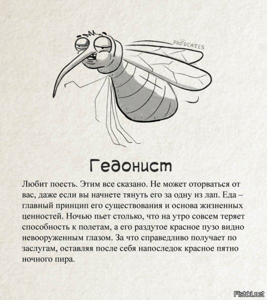 Если кто еще не смог прочитать про комаров :)