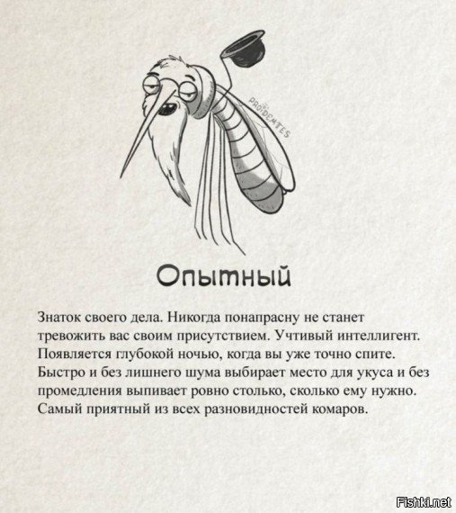 Если кто еще не смог прочитать про комаров :)