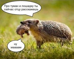 Всё по делу и ничего лишнего