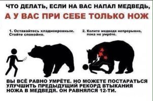 Как спастись от медведя туристу в тайге