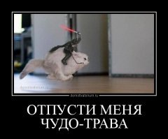 Арт: 90-е в параллельной реальности