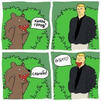 Неизвестные факты о мишках