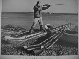 20 гигантов из прошлого и настоящего