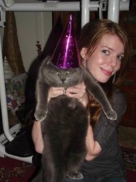 Семь кошачьих "почему?", ответы на которые вас удивят