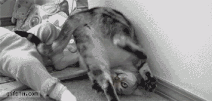 "На! Занюхивай!.."