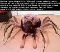 Скрины из социальных сетей