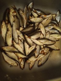 Кстати, вот результат моего преступления в тот день :).