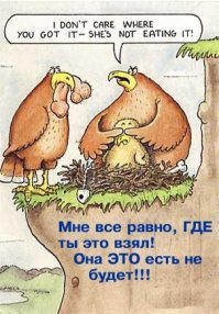 Побеждает сильнейший: смертельная схватка орла со змеей