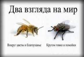 «Уважай меня, а там посмотрим». Или как не работают отношения