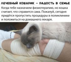 Лечебные они, ага  Там горячей всего, из-за воспаления. Как в докторе Хаусе (5-18) :) где кот Оскар (реальный персонаж, кстати) предсказывал смерть в самое ближайшее время.