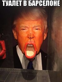 Трампа лучше так видеть: