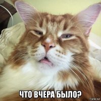 Прикольные и смешные картинки