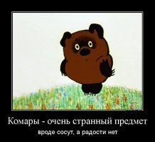 Россияне боятся комаров, думая что те заразят их ВИЧ