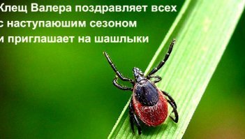 Шашлычно-пожарный квест-2019: вы еще не паникуете? Начинайте!