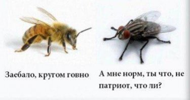 Чита: мусорное Средневековье