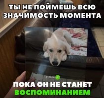 Совершенно не смешная картинка. Сразу вспомнилась песня Дельфина :
..........Это твой щенок,
Теперь он твой навсегда,
И ты не хочешь, но считаешь его дни и года,

И с каждым новым днём твоя любовь к нему растёт,
Она станет огромной, когда он умрёт...........