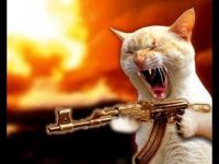 кота она наряжает.....