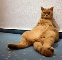 Два года спустя.