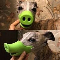 Прикольные и смешные картинки
