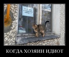 Прикольные и смешные картинки
