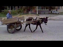 Таким клиентам надо вот такие ТС выдавать