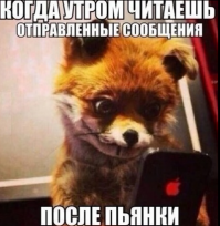 Прикольные и смешные картинки