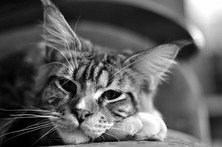 Мой парень. Когда ещё молодой был...