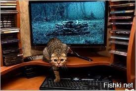 Утренняя подборка картинок