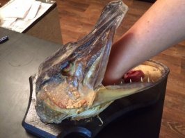 Трофей моего отца :)