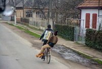 Едем, едем в соседнее село на дискотеку! 
Едем, едем на дискотеку со своей фонотекой.