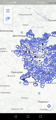 Это только Яндекс,не считая белки,делимобиль,матрёшки  и прочих.