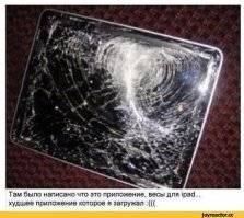 Прикольные и смешные картинки