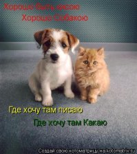 Для настроения