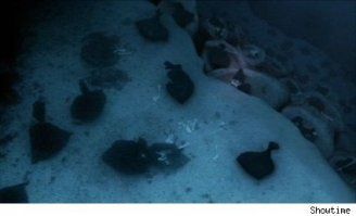 Врачи приняли агонию за буйство и оставили больного умирать взаперти