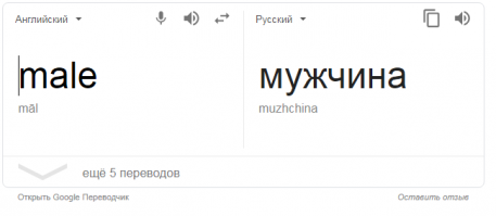 Прикольные и смешные картинки