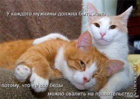 На каких женщинах стоит жениться
