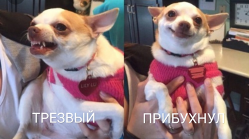 Ну не знаю, как свежий воздух, но это точно: