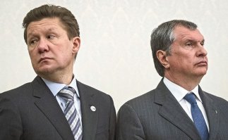 Фото бактерий