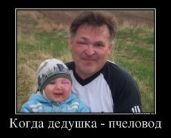 47 хвостатых бедолаг, ужаленных пчелами