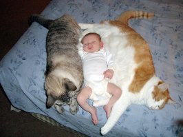 Не мое, с ленты от знакомых :)