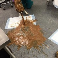 Просто ... анекдоты