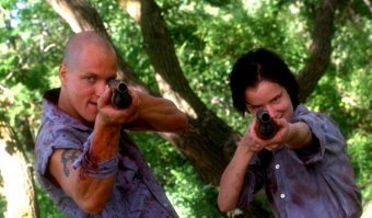 Как говорила Мэллори из Прегражденных убийц - я всегда хотела пристрелить одного из них,  но в них так сложно попасть.